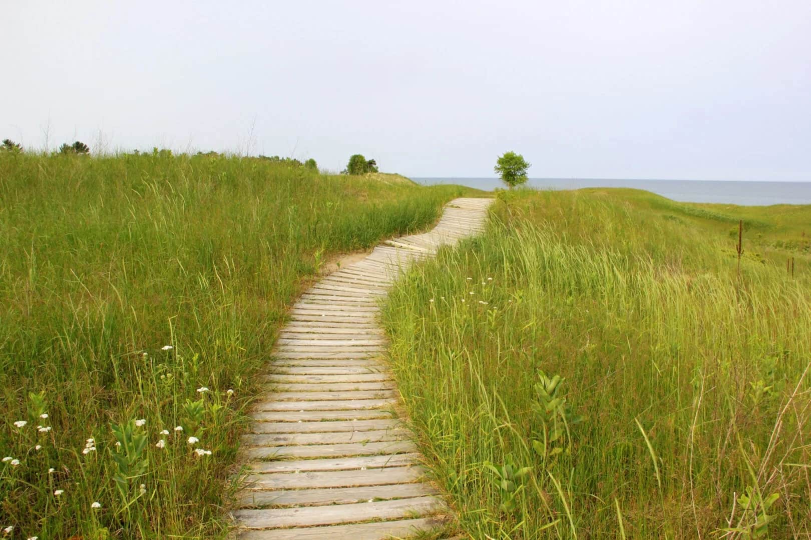 Outdoor Recreation Excursions 