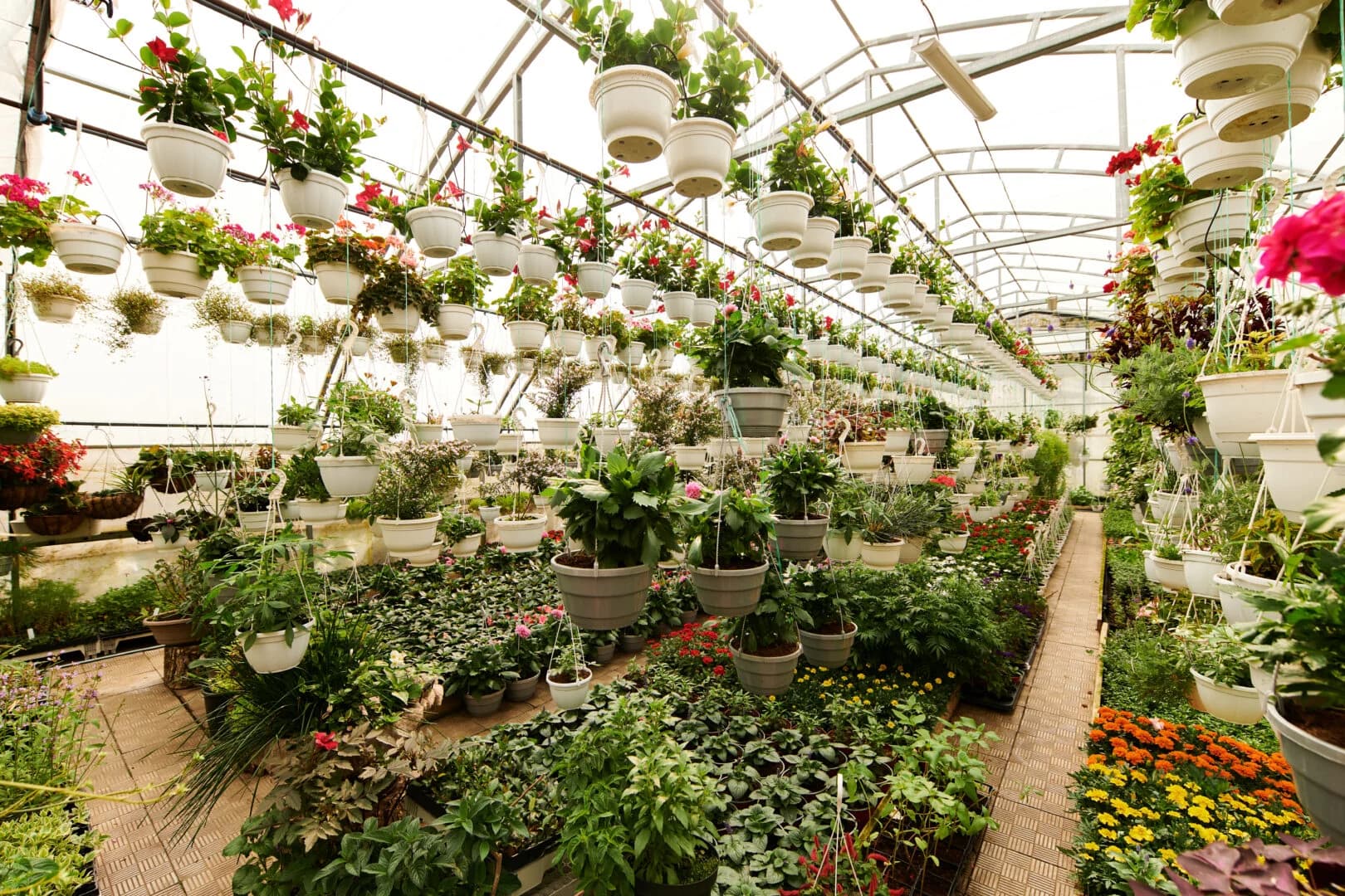 Farm Fresh Fun & Greenhouse Magic