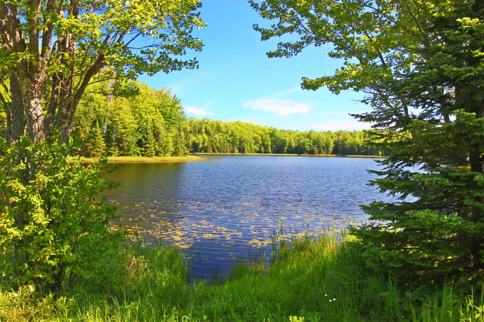 Nature Retreats